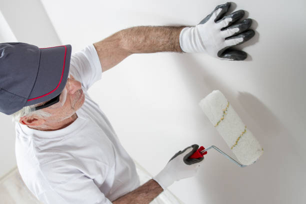 West Glens Falls, NY Mold Removal Company
